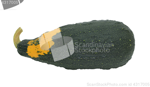 Image of Large dark green ornamental gourd with orange patch