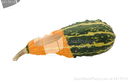 Image of Pear-shaped ornamental gourd with orange and green stripes