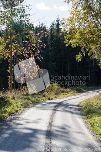 Image of Gravel road in fall colors