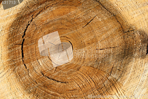 Image of Pile wood