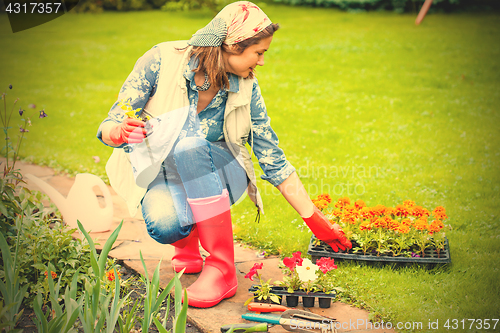 Image of middle-aged woman planting flowers