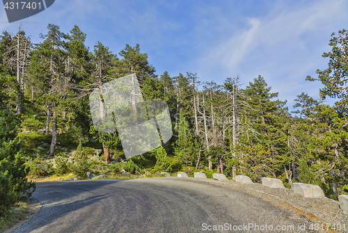 Image of Scenic Road