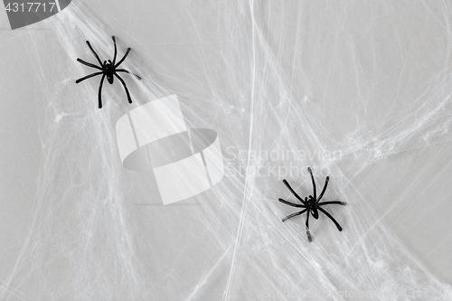 Image of halloween decoration of black toy spiders on web