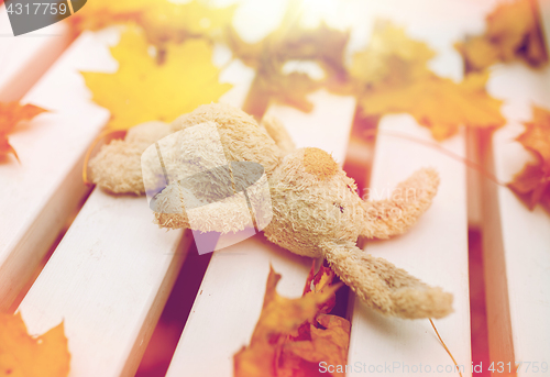 Image of toy rabbit on bench in autumn park