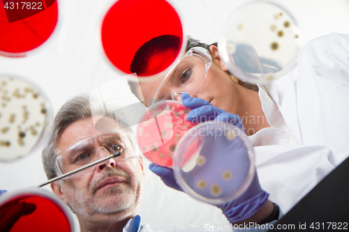 Image of Life scientists researching in the health care laboratory.