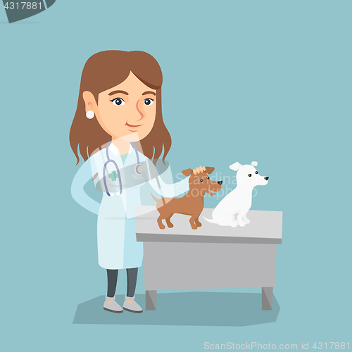 Image of Young caucasian veterinarian examining dogs.