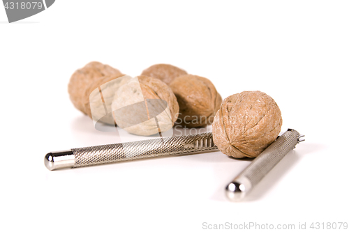 Image of Close up on Walnuts