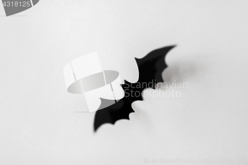 Image of halloween decoration of black bat on white