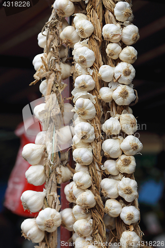 Image of Garlic