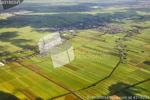 Image of Fields of The Netherlands from above