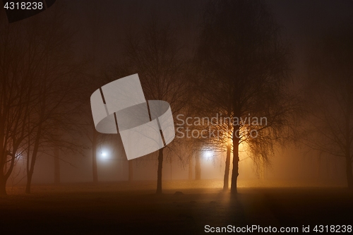 Image of Foggy Mysterious Night