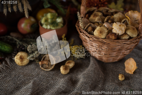 Image of autumn nature gifts