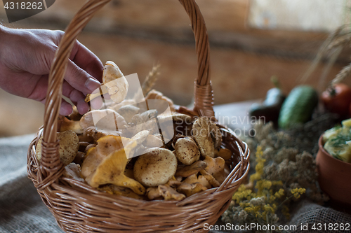 Image of Different mushrooms in basket