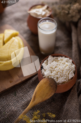 Image of Organic milk cottage cheese and cream