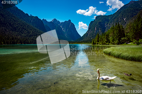 Image of Lake Dobbiaco in the Dolomites, Italy