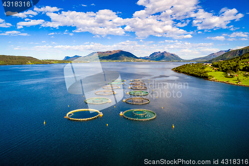 Image of Farm salmon fishing Aerial FPV drone photography.