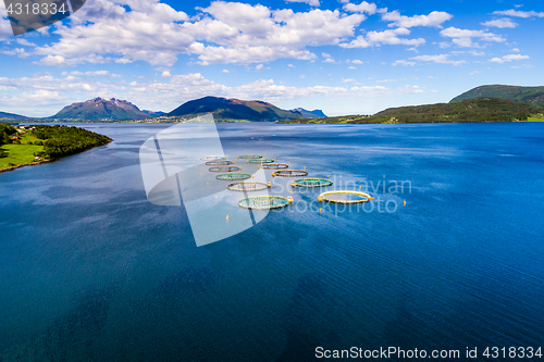 Image of Farm salmon fishing Aerial FPV drone photography.