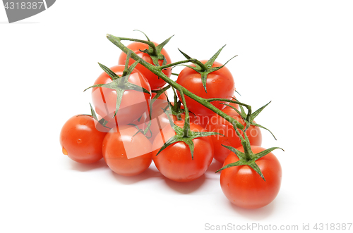 Image of Red cherry tomato