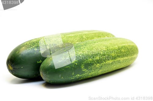 Image of Fresh green cucumber