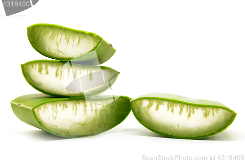 Image of Aloe vera fresh leaf isolated