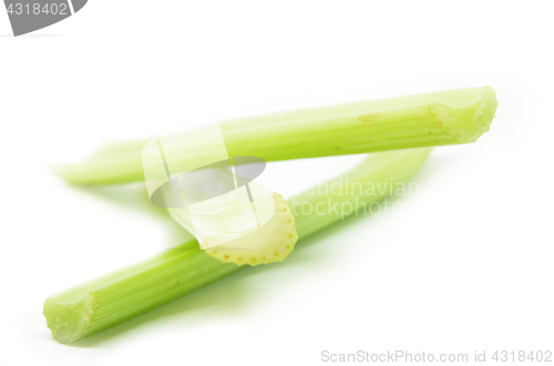 Image of Fresh green celery