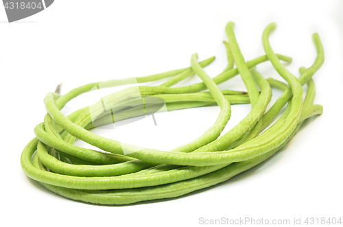 Image of Yard long bean