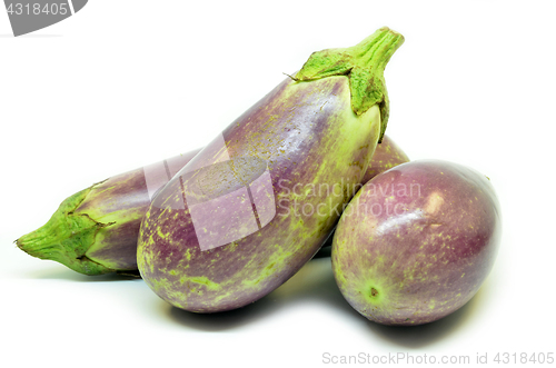Image of Fresh vegetable eggplant