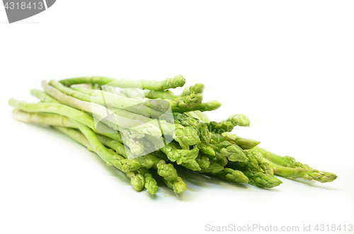 Image of Bundle of green asparagus shoots