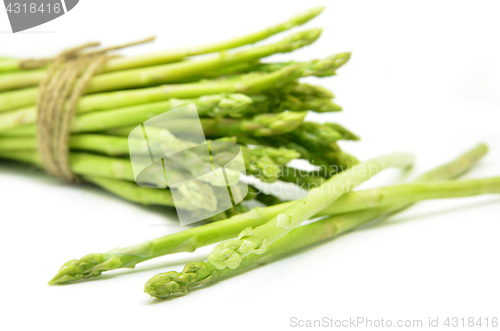 Image of Bundle of green asparagus shoots 