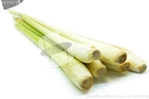 Image of Bundle of lemon grass