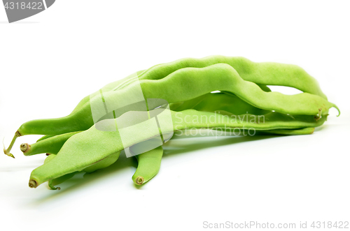 Image of Fresh green hyacinth beans 