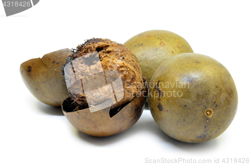 Image of Lo Han Guo, Monk or Buddha fruit