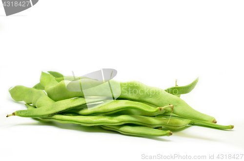 Image of Fresh green hyacinth beans