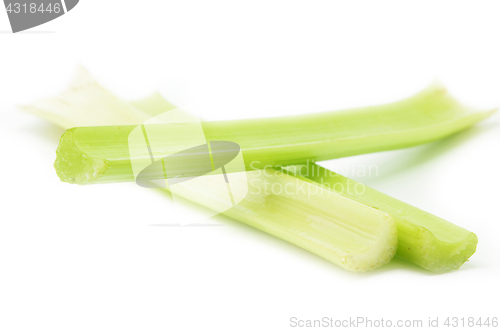 Image of Fresh green celery