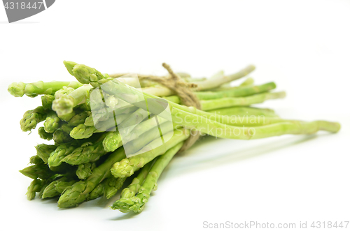 Image of Bundle of green asparagus shoots