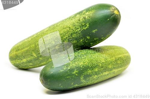 Image of Fresh green cucumber