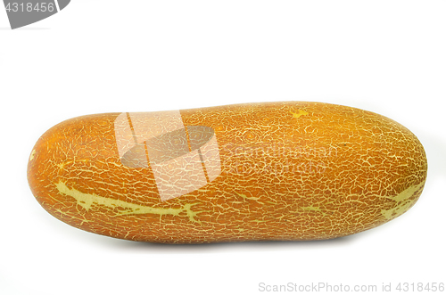 Image of Chinese yellow cucumber