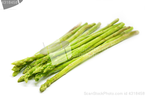 Image of Bundle of green asparagus shoots