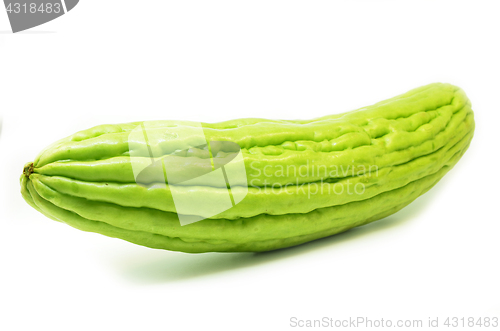 Image of Bitter gourd isolated