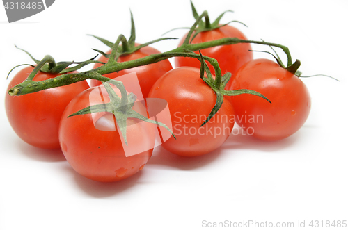 Image of Red cherry tomato