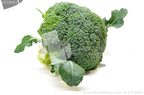 Image of Fresh broccoli isolated on white background