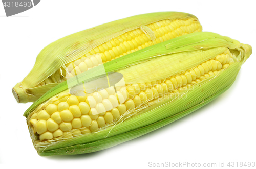 Image of Grains of ripe corn photo of maize close-up