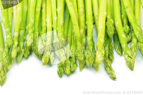 Image of Bundle of green asparagus shoots