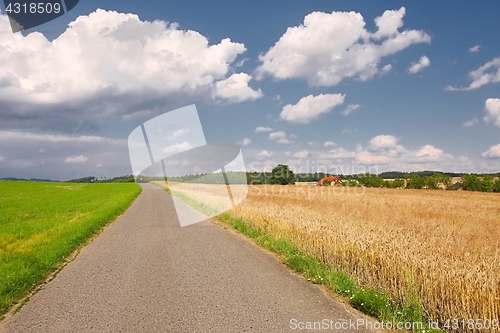 Image of Road through farmlands