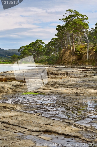 Image of Landscape in Tasmania