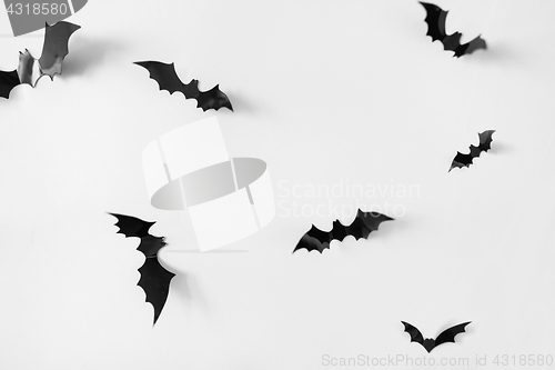 Image of halloween decoration of bats over white background