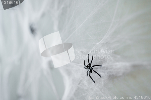 Image of halloween decoration of black toy spider on cobweb