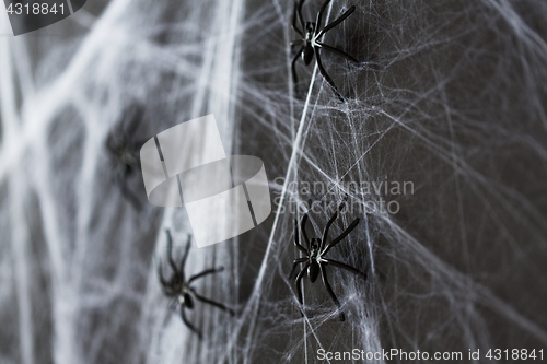 Image of halloween decoration of black toy spider on cobweb