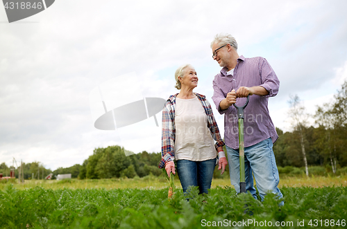 Image of senior couple with shovel picking carrots on farm