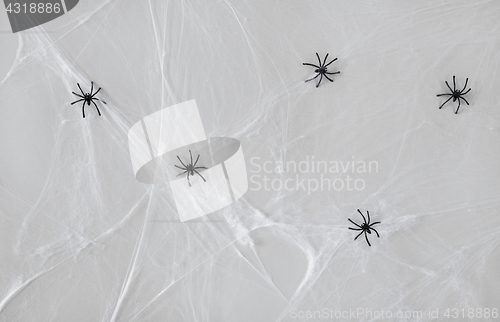 Image of halloween decoration of black toy spiders on web